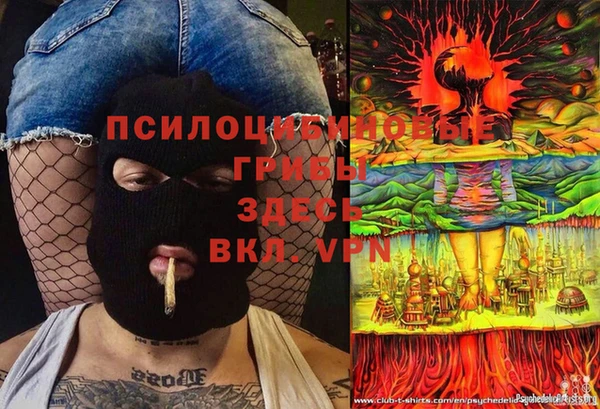 СК Алексеевка