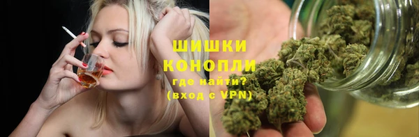 шишки Алзамай