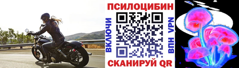 купить закладку  Кореновск  Галлюциногенные грибы Magic Shrooms 